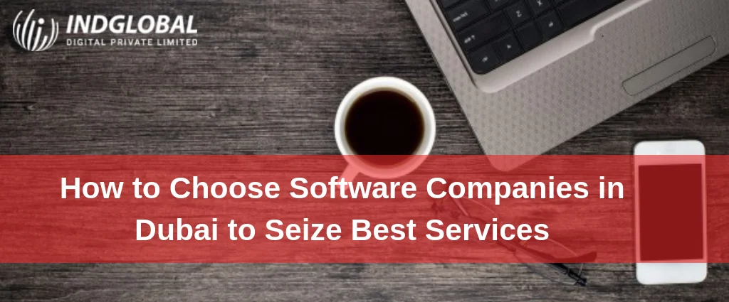 how-to-choose-software-companies-in-dubai-to-seize-best-services-infography-image