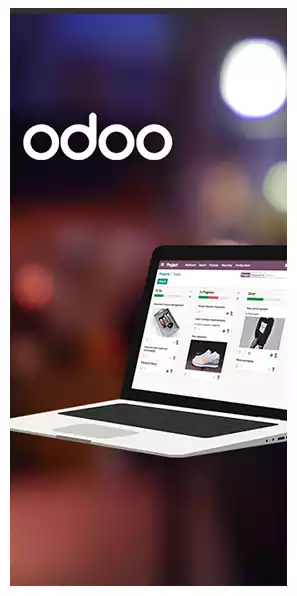Odoo ERP Implementation Partners