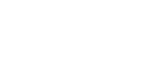 shopify-partner